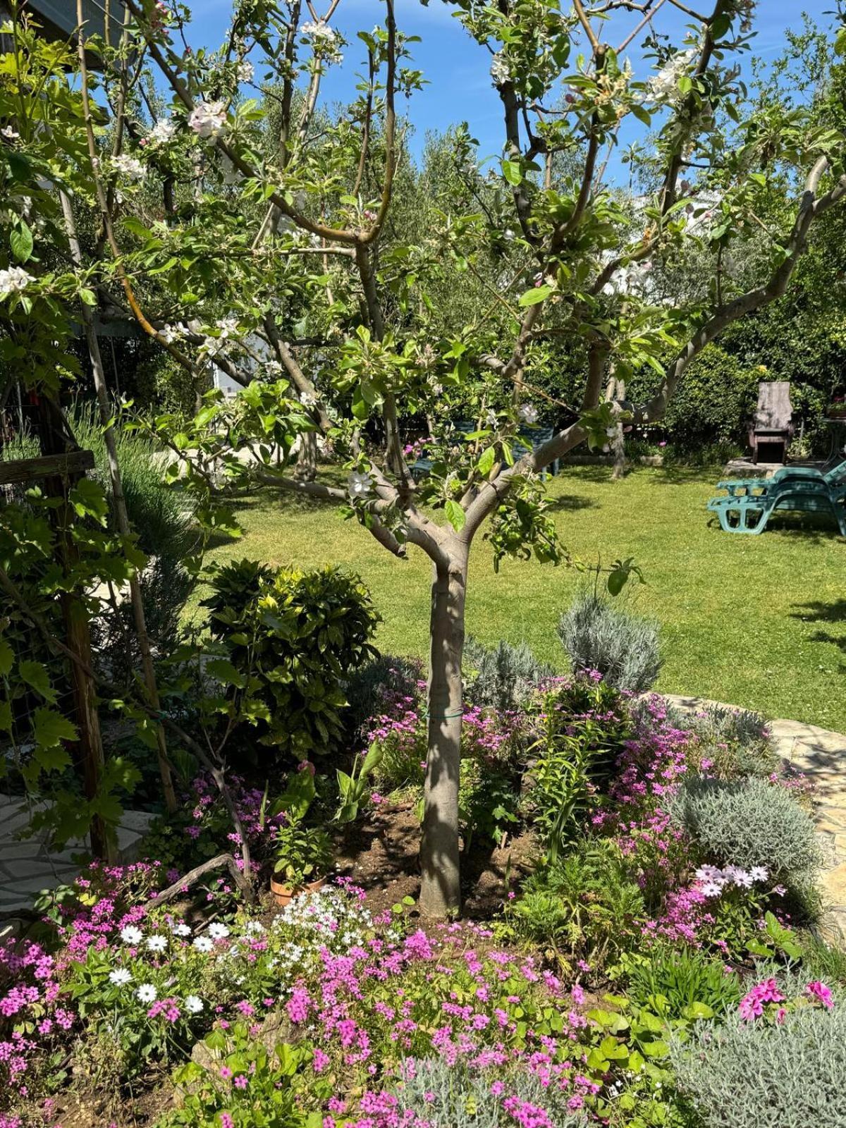 Holiday House K&K Privlaka  Bagian luar foto